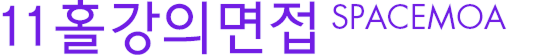 11홀